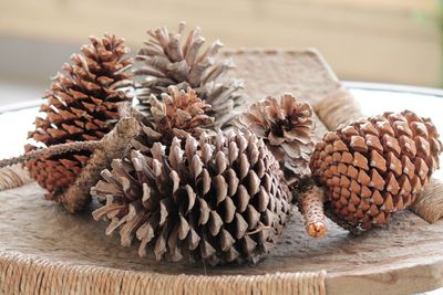 Close-up of pine cones on table