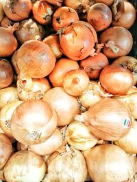 Full frame shot of pumpkins for sale at market