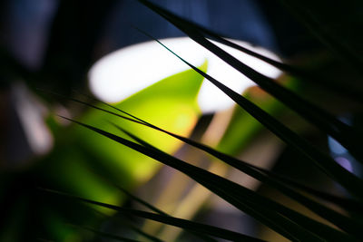 Low angle view of barbed wire against sky