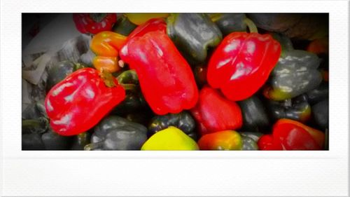 Close-up of red chili peppers