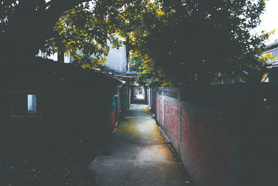 Narrow alley along buildings