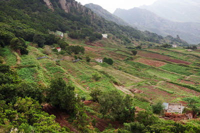 High angle view of green field