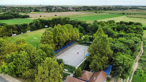 High angle view of trees and plants in forest