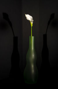 still life photography