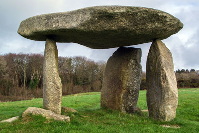 Stone on field against trees