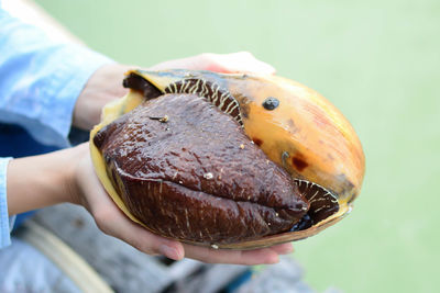 Close-up of hand holding ice cream