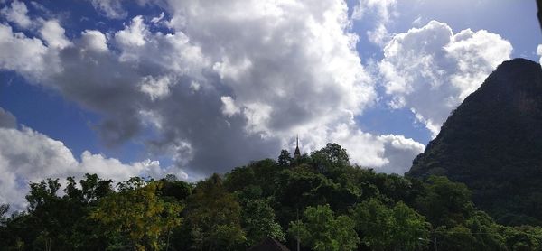 Low angle view of trees against sky