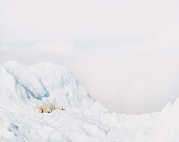 Snow covered landscape