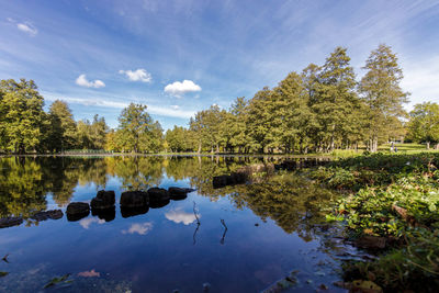 Reflection of trees in lake