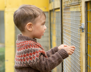 Boy looking at birds on the farm