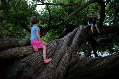 Woman standing on tree trunk