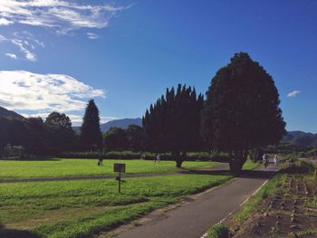 Scenic view of grassy field against sky