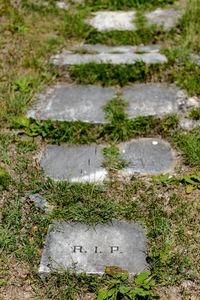 High angle view of text on footpath