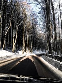 Snow covered road amidst trees in forest