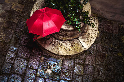  in old houseclose-up of red umbrella
