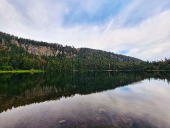 Scenic view of lake in forest against sky