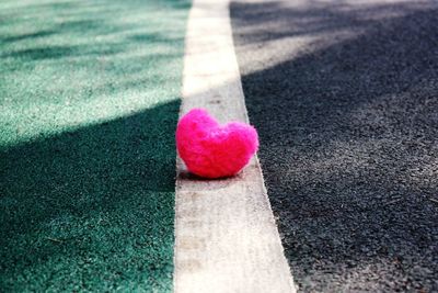 High angle view of pink petals on road