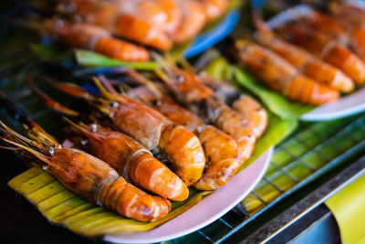 Grilled shrimp on plate 