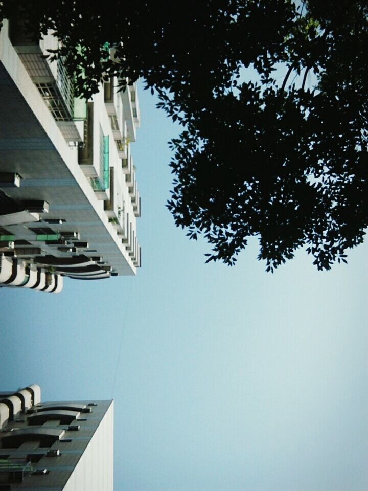 LOW ANGLE VIEW OF BUILDINGS IN CITY