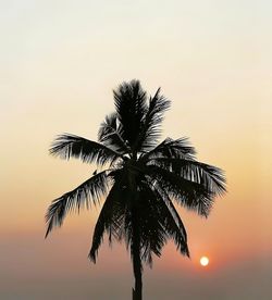 Low angle view of silhouette tree against sky during sunset