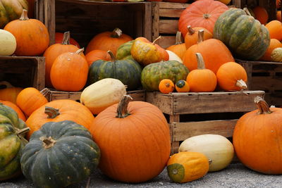 Pumpkins for sale at market stall