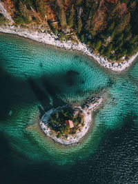 Aerial view of sea and trees