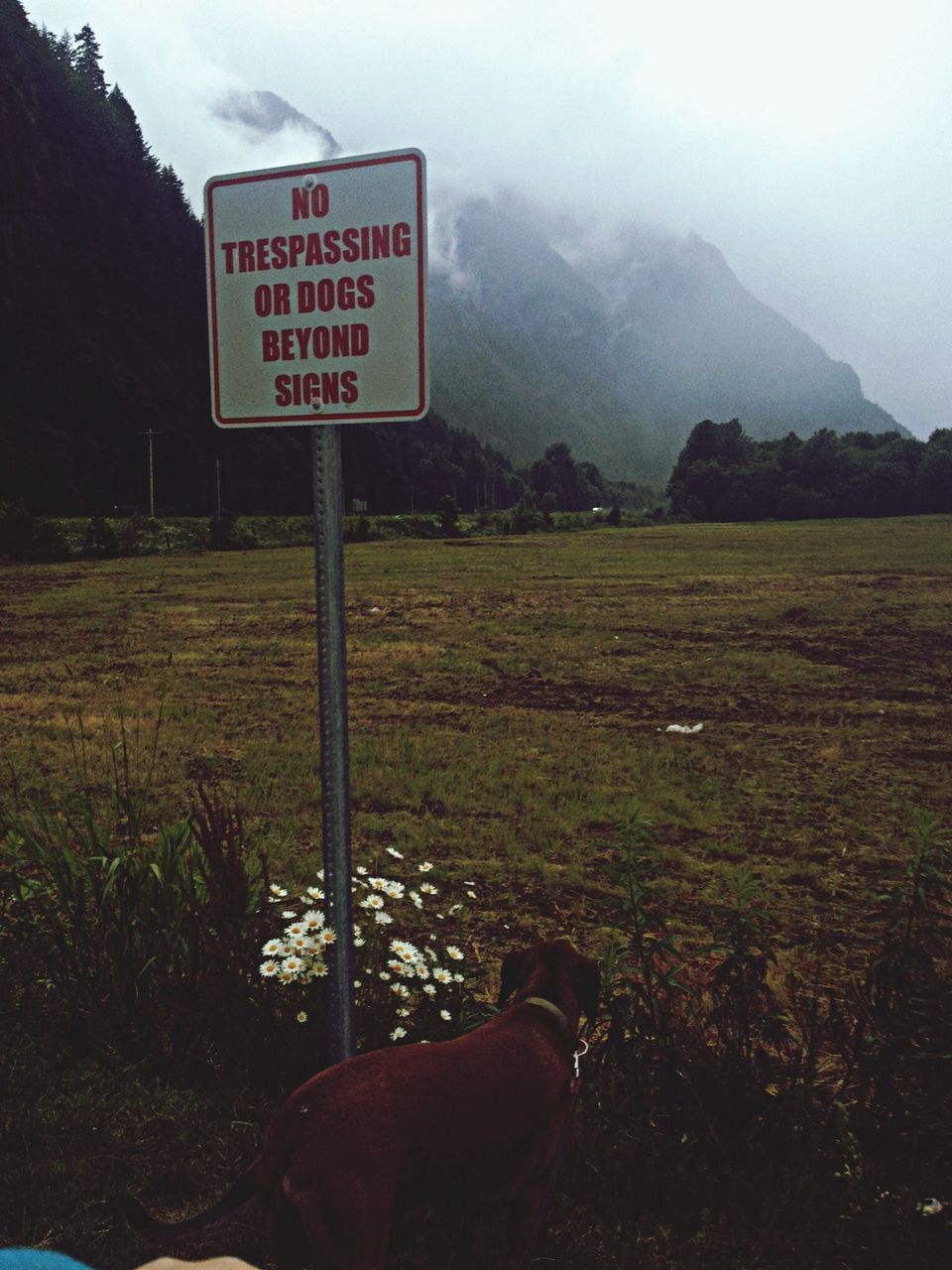 text, communication, western script, sign, information sign, guidance, road sign, field, landscape, information, grass, sky, warning sign, non-western script, direction, capital letter, signboard, directional sign, mountain, tranquility