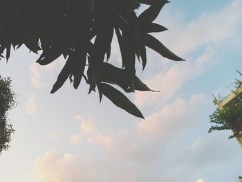 Low angle view of airplane flying against sky