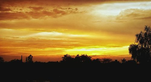 Silhouette trees against dramatic sky during sunset