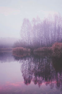 Reflection of trees in lake against sky