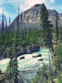 Scenic view of waterfall against sky