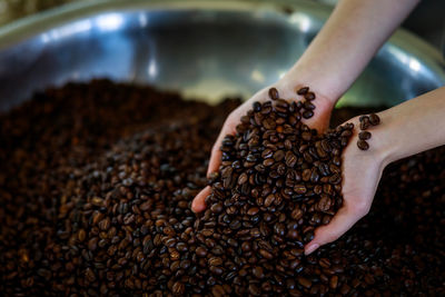 Coffee bean processed on holding hand close up and selective focus