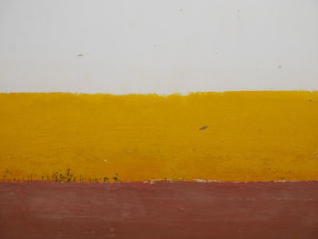 Close-up of yellow umbrella against blurred background