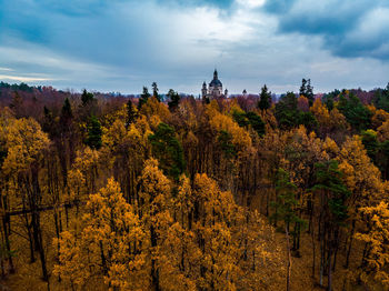 Trees and plants against sky during autumn