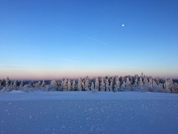 Scenic view of snow covered landscape against blue sky