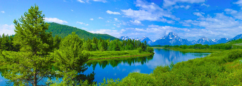Panoramic view of lake and trees against sky