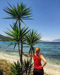 Rear view of woman standing by trees at beach against clear sky