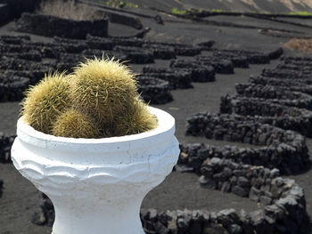 Arrecife and the island lanzarote