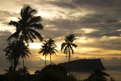 Silhouette of tall palm trees with ocean behind, during golden sunrise