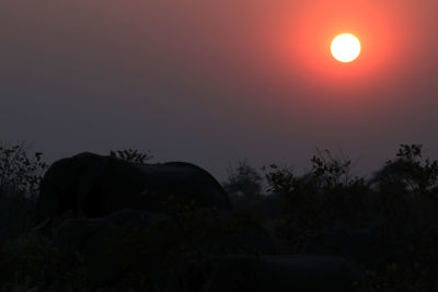 Scenic view of sunset