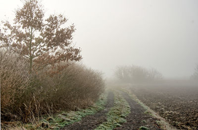 Empty footpath during foggy weather