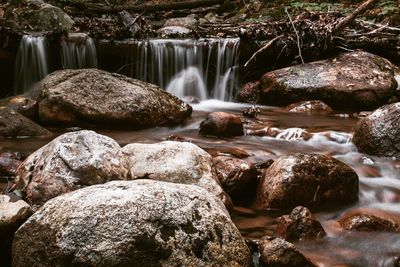 Scenic view of waterfall in forest