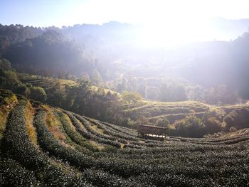 Close-up of water against sky