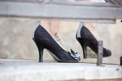 Close-up of a bird against the wall