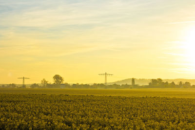 Scenic view of field against sky during sunset