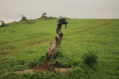 Wooden posts on field against sky