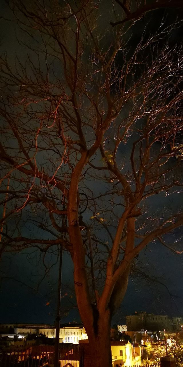 LOW ANGLE VIEW OF BARE TREE AGAINST BUILDINGS IN CITY