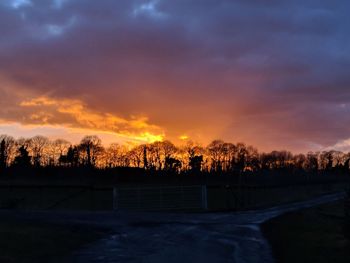Silhouette trees against sky during sunset