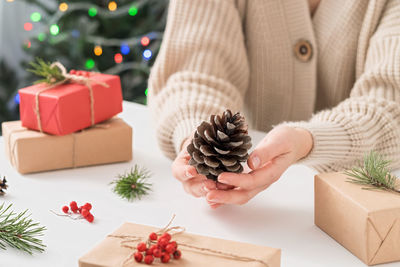 Midsection of person holding christmas tree in box