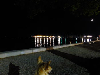 View of river at night